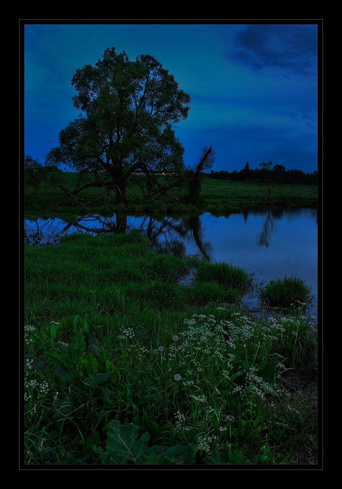 вечер, пруд, трава, дерево, пейзаж, лето, Oleg Dmitriev