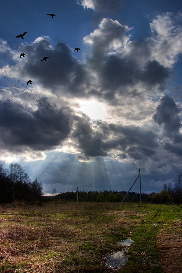 небо, облака, солнце, поле, весна, Сергей Пестерев