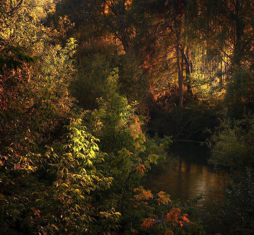природа, лес, , волшебство, красота, свет, цвет, свежесть, пейзаж, вечер, вода, зарисовка, краски, осень, растительность, р.воря, тень, река, етти