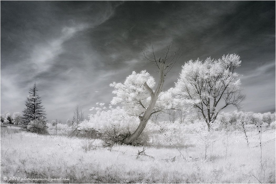 pilgrim, инфракрасный, infrared, Pilgrim