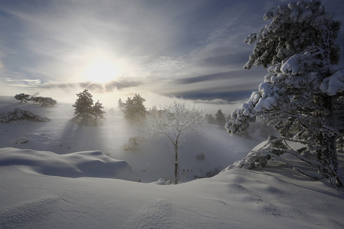 крым, зима, пейзаж, снег, деревья, небо, облака, солнце,, Сергей Шульга