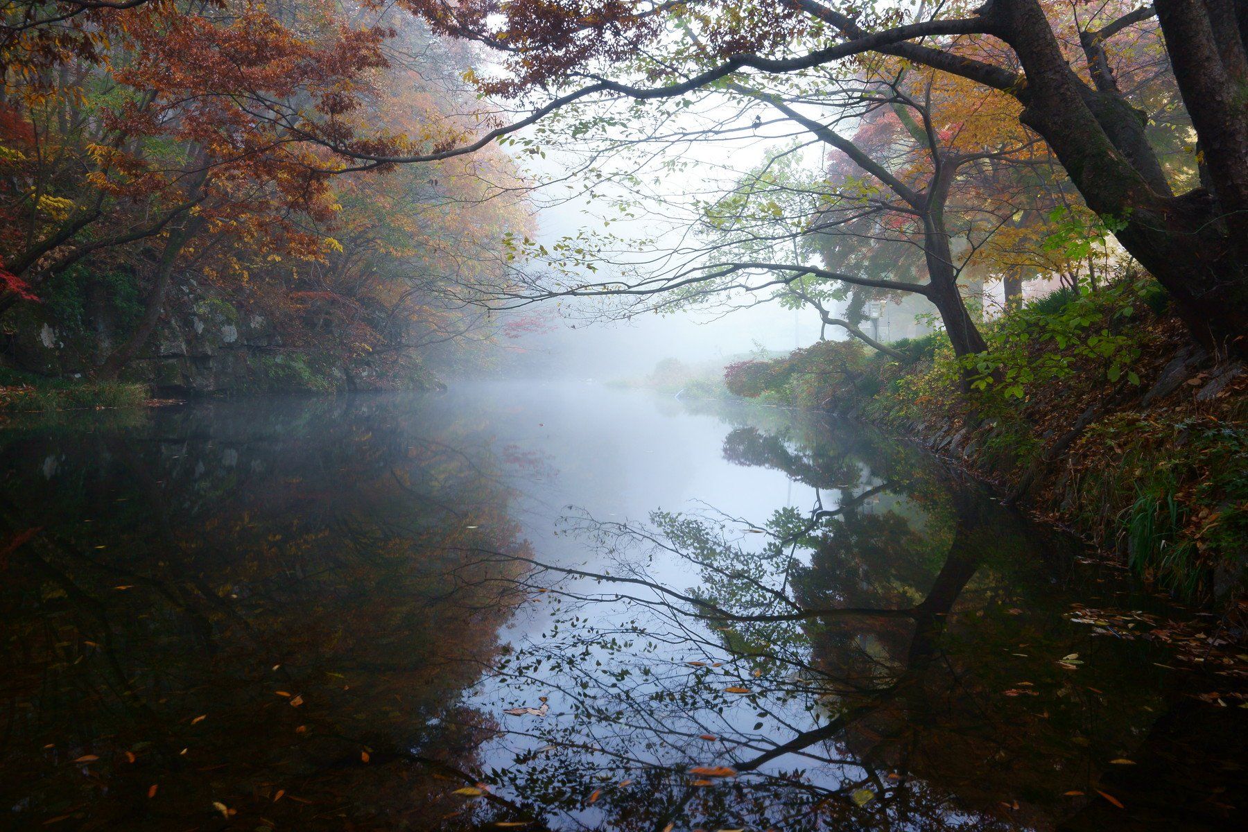 asia,korea,south korea,jeollabukdo,seonunsa temple,morning,misty,stream,fog,reflection, Shin