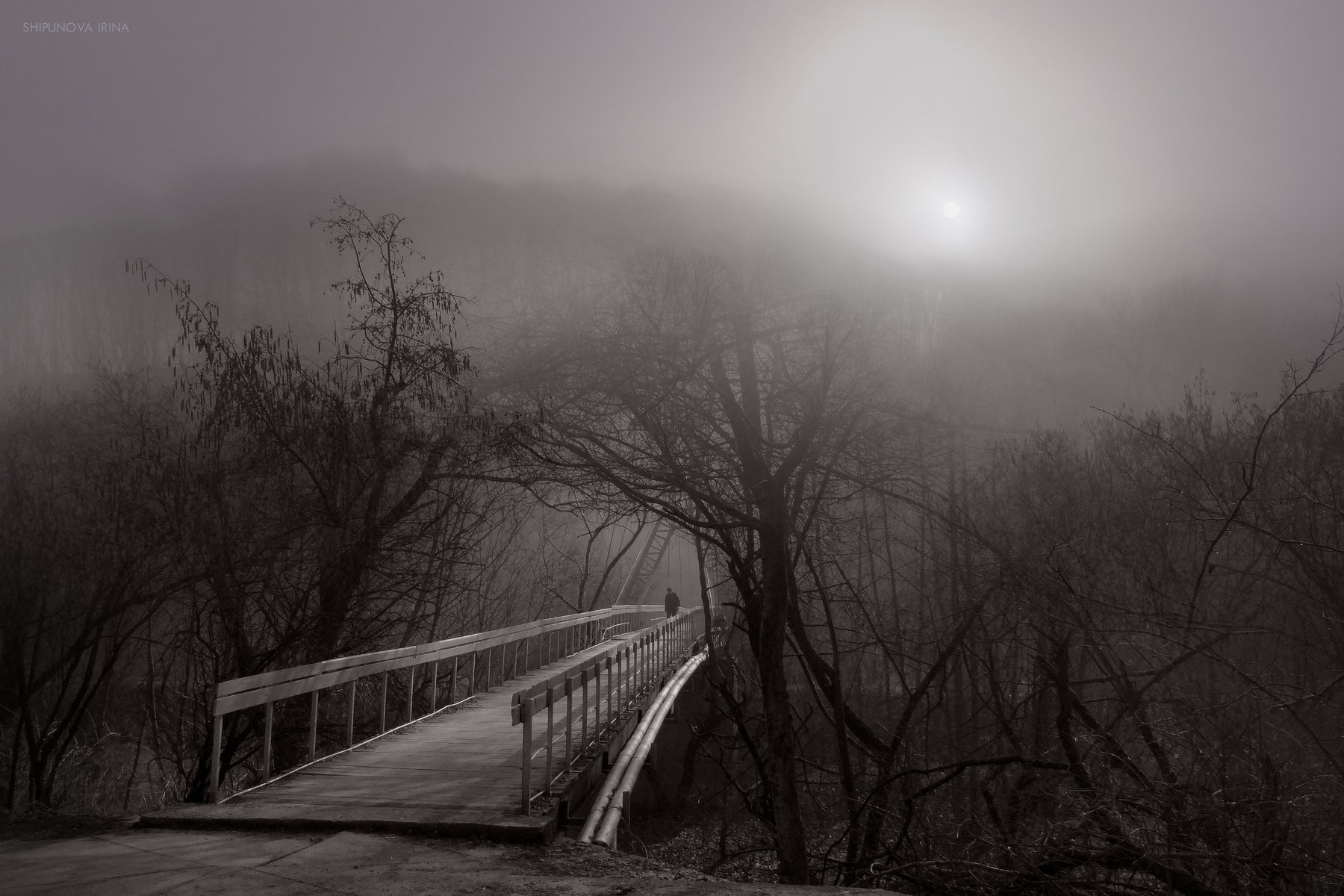 туман, солнце, мост, путник, Шипунова Ирина