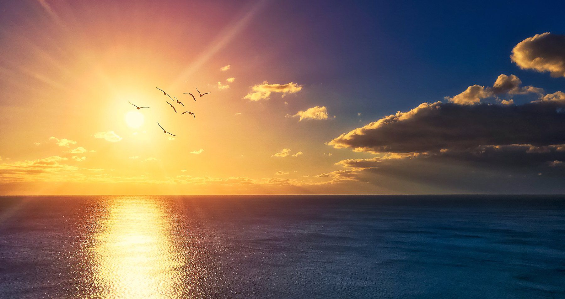 yellow, landscape, sea, sunset, color, blue ,sun ,light ,beautiful ,seagulls, Сергей Нестеров