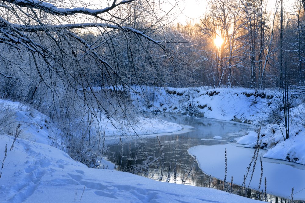 пезаж,природа,снег,утро,рассвет,отражение,лес,деревья,солнце, Юлия Лаптева