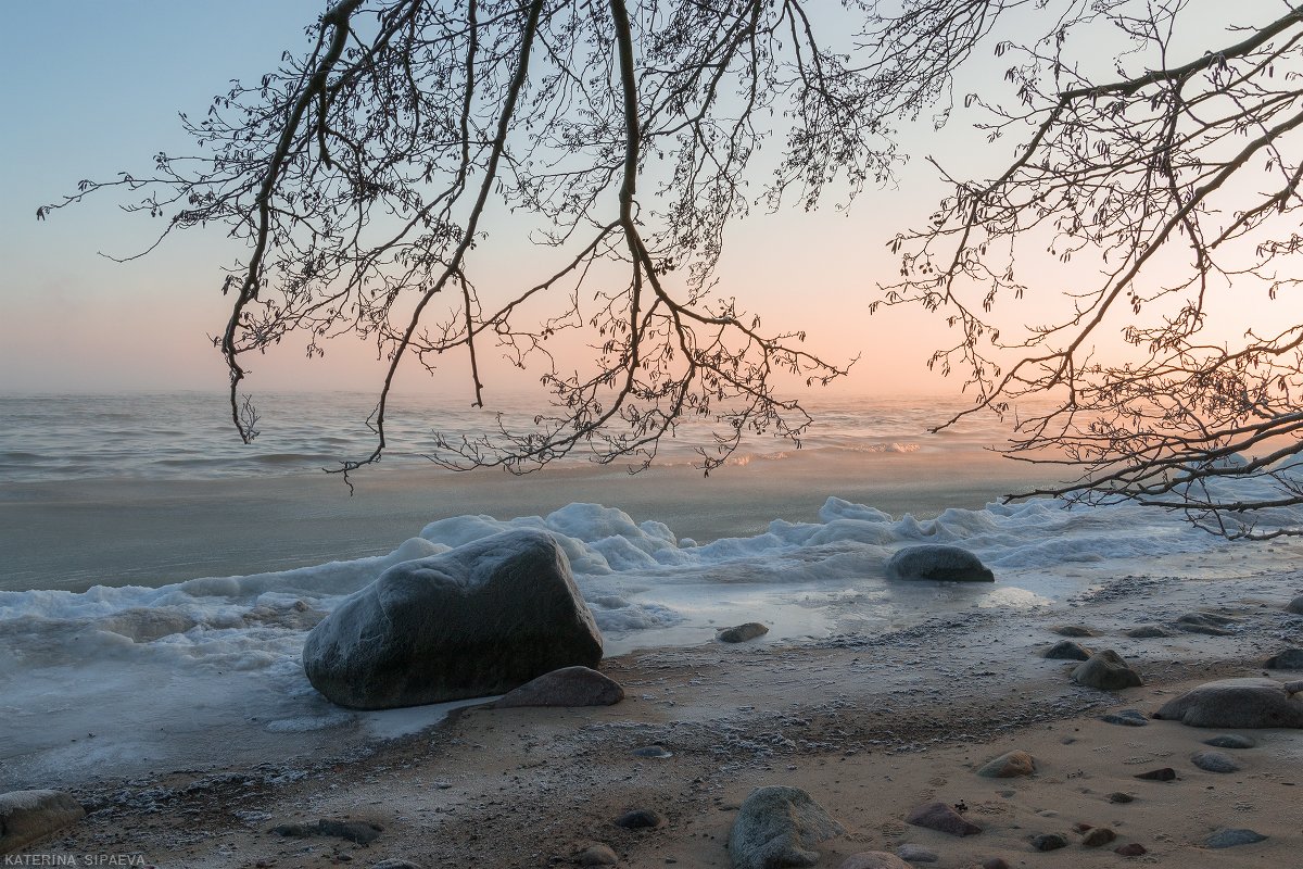 балтийское море, рассвет, пейзаж, зима, Сипаева Катерина