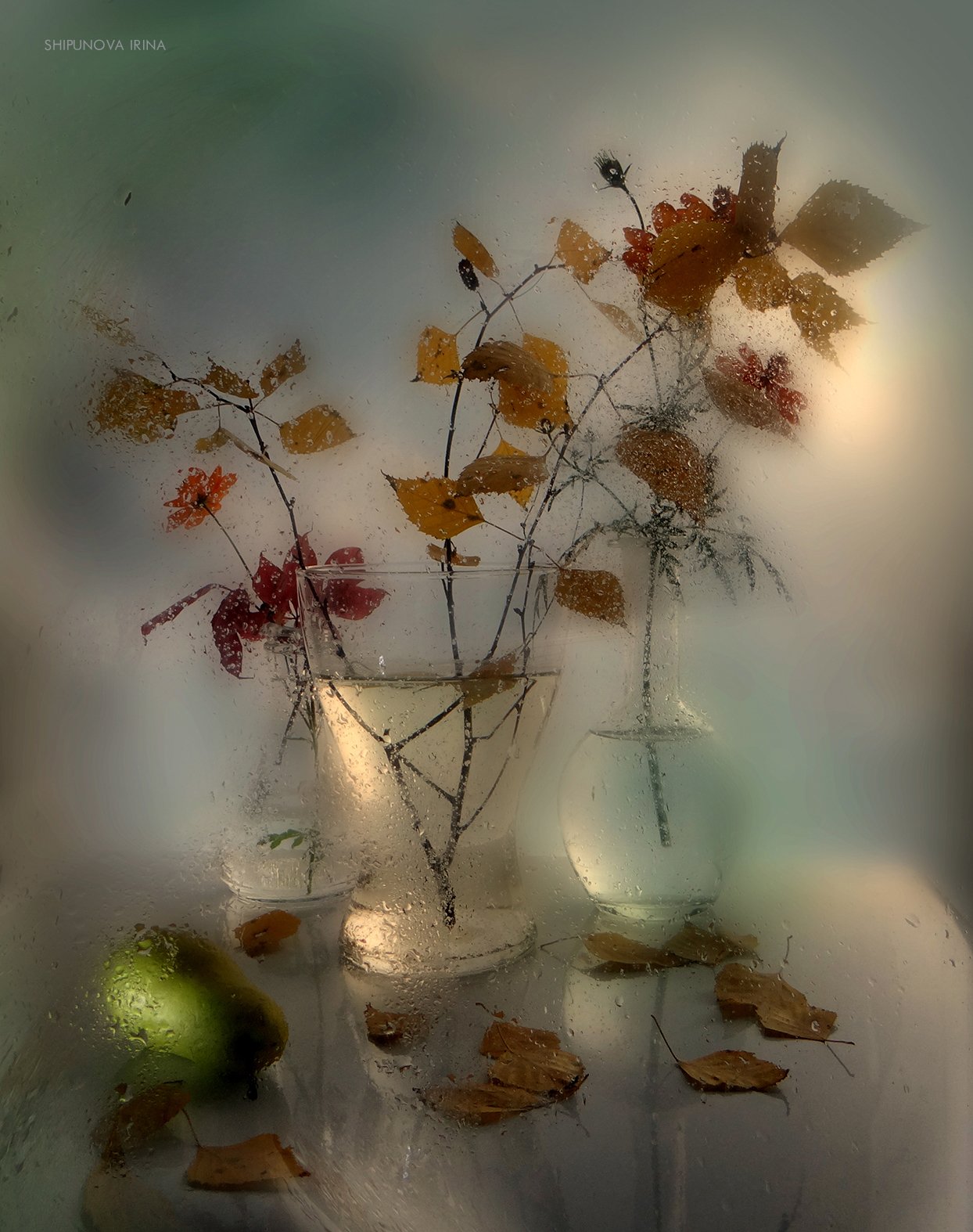 осень стекло листья груша капли, Шипунова Ирина