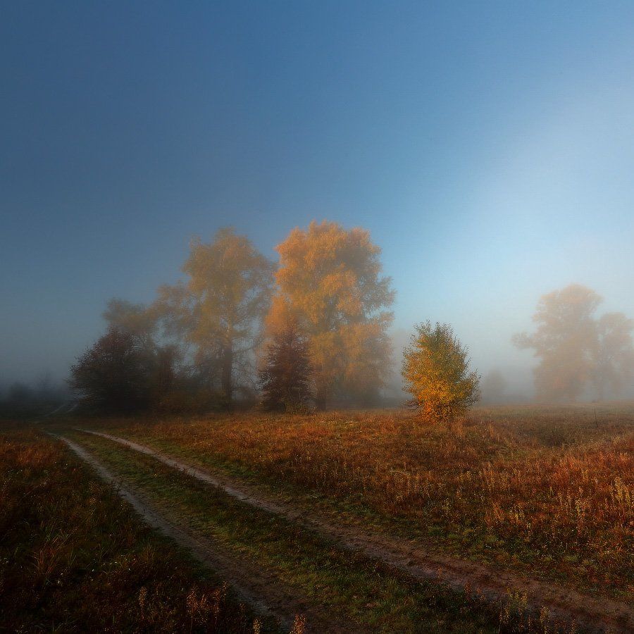 дорога,осень,туман,утро, Петриченко Валерий