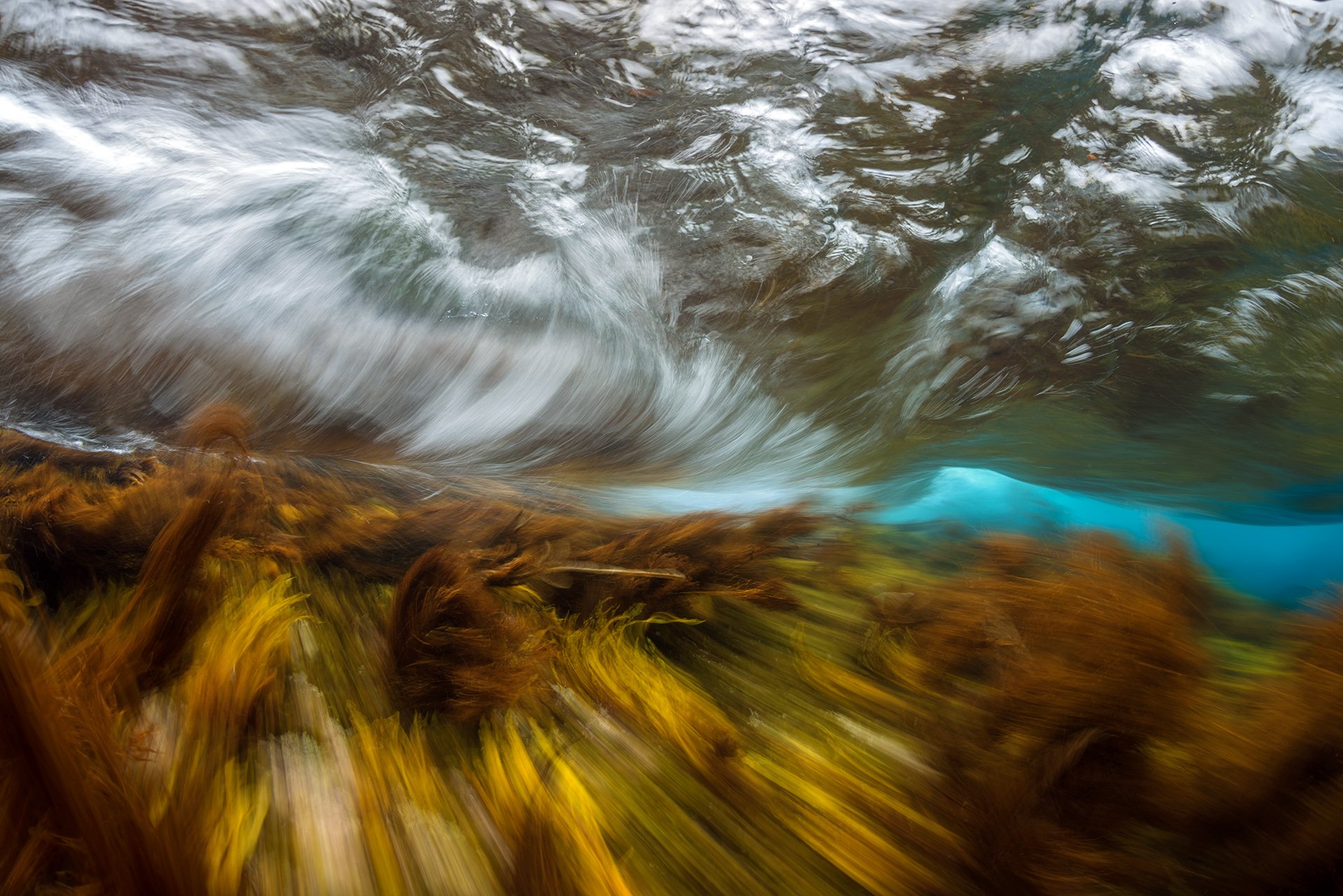 Монерон, подводное фото, underwater, Сергей Шанин