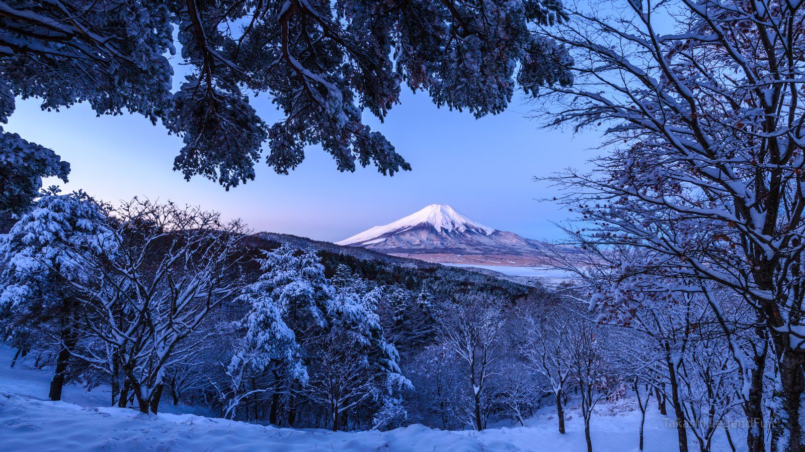 Fuji,mountain,Japan,snow,forest,tree,dawn,blue,morning,beautiful,landscape,, Takashi