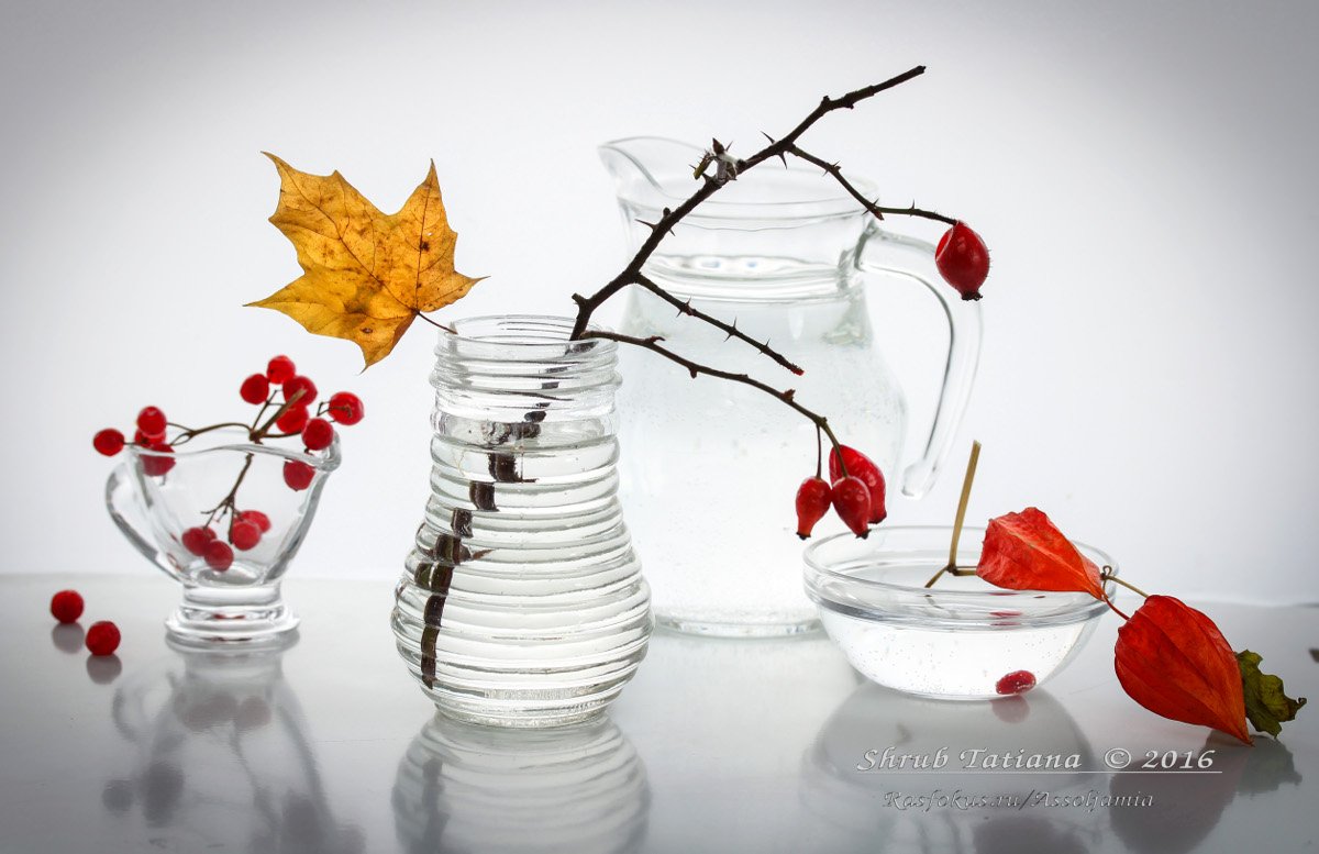 натюрморт, осень, стекло, ягоды, листья, Шруб (Беляева) Татьяна