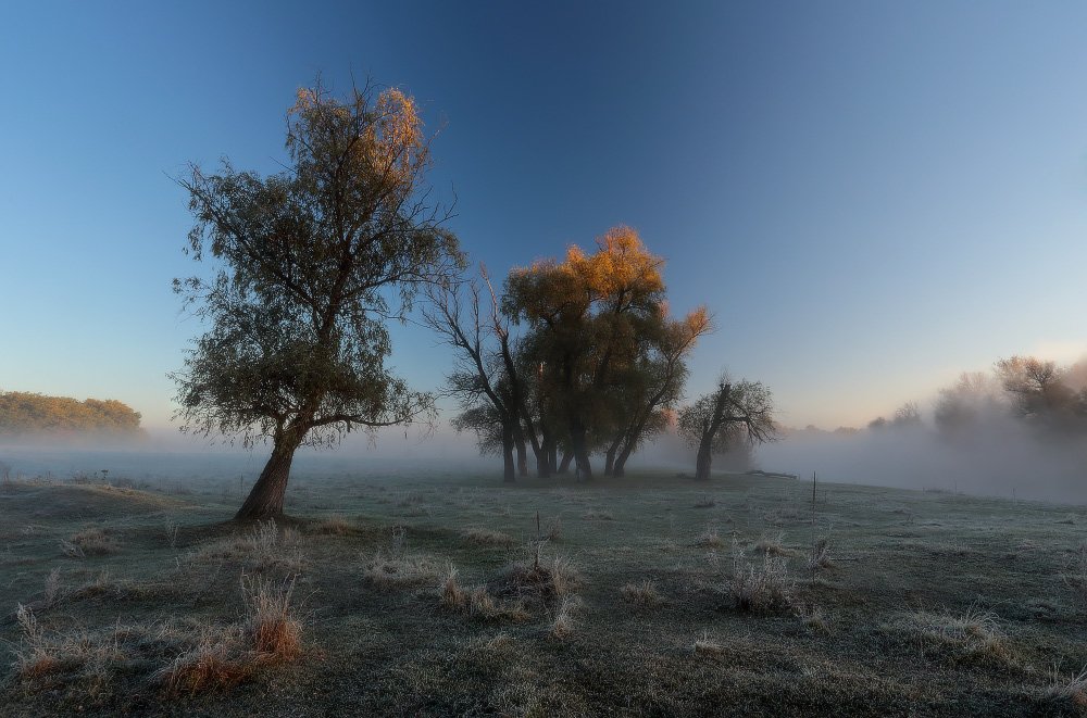 утро, туман, река, мороз, иней, осень, Петриченко Валерий