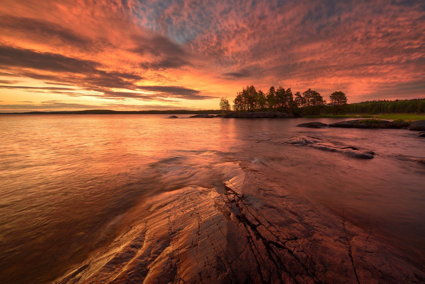 , Максим Евдокимов ( www.wildphotorus.ru )