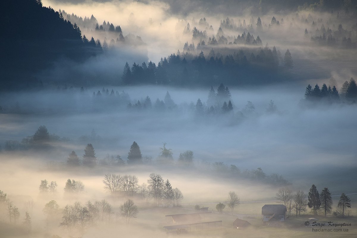 fog, foggy, slovenia, landscape, morning, Haidamac