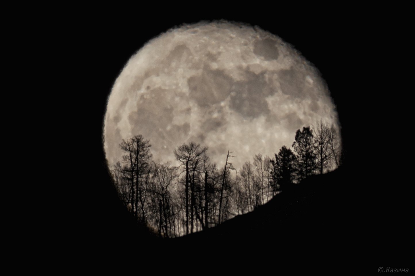 алтай, луна, полнолуние, ночь, ночное фото, moon, night, full moon, Светлана Казина