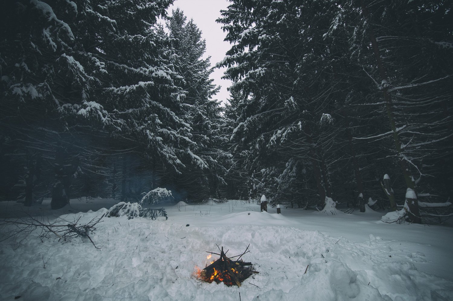 лес, костер, зима, снег, samyang, Артемий Тузов