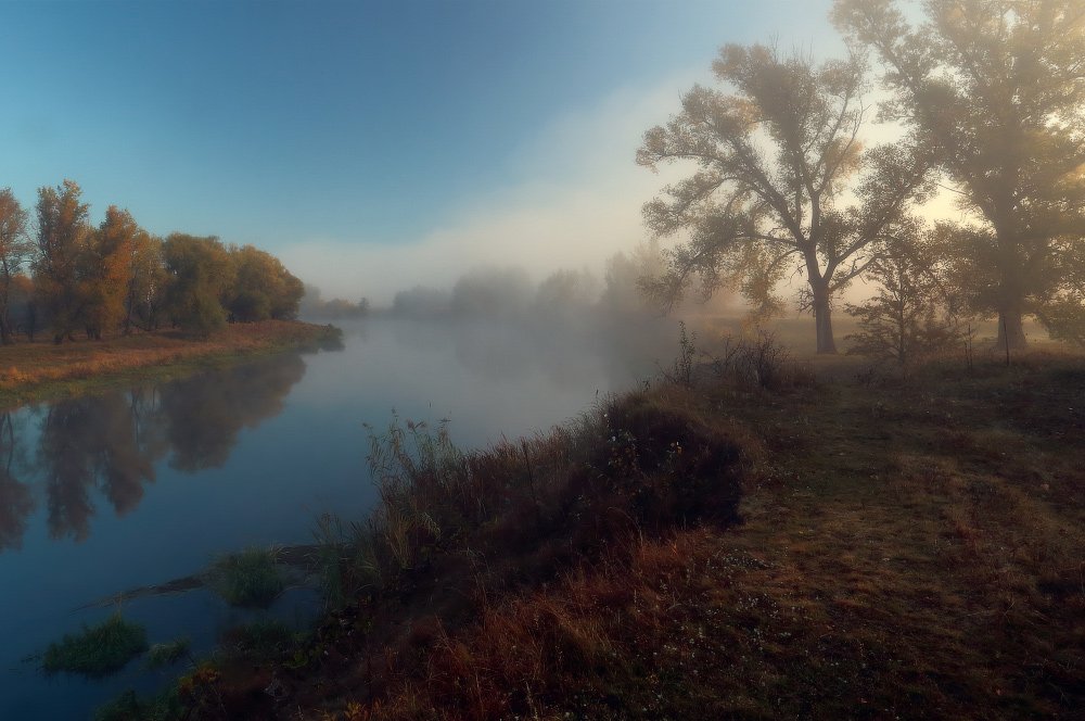 утро осень солнце туман река, Петриченко Валерий