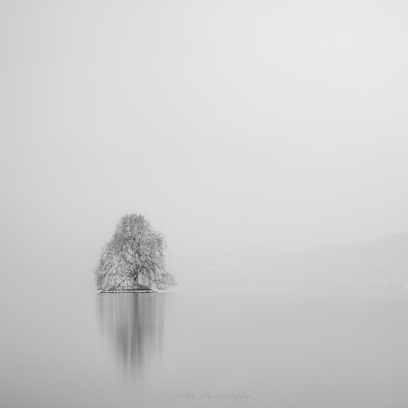 tree,mist,geneva lake,long exposure, Felix Ostapenko