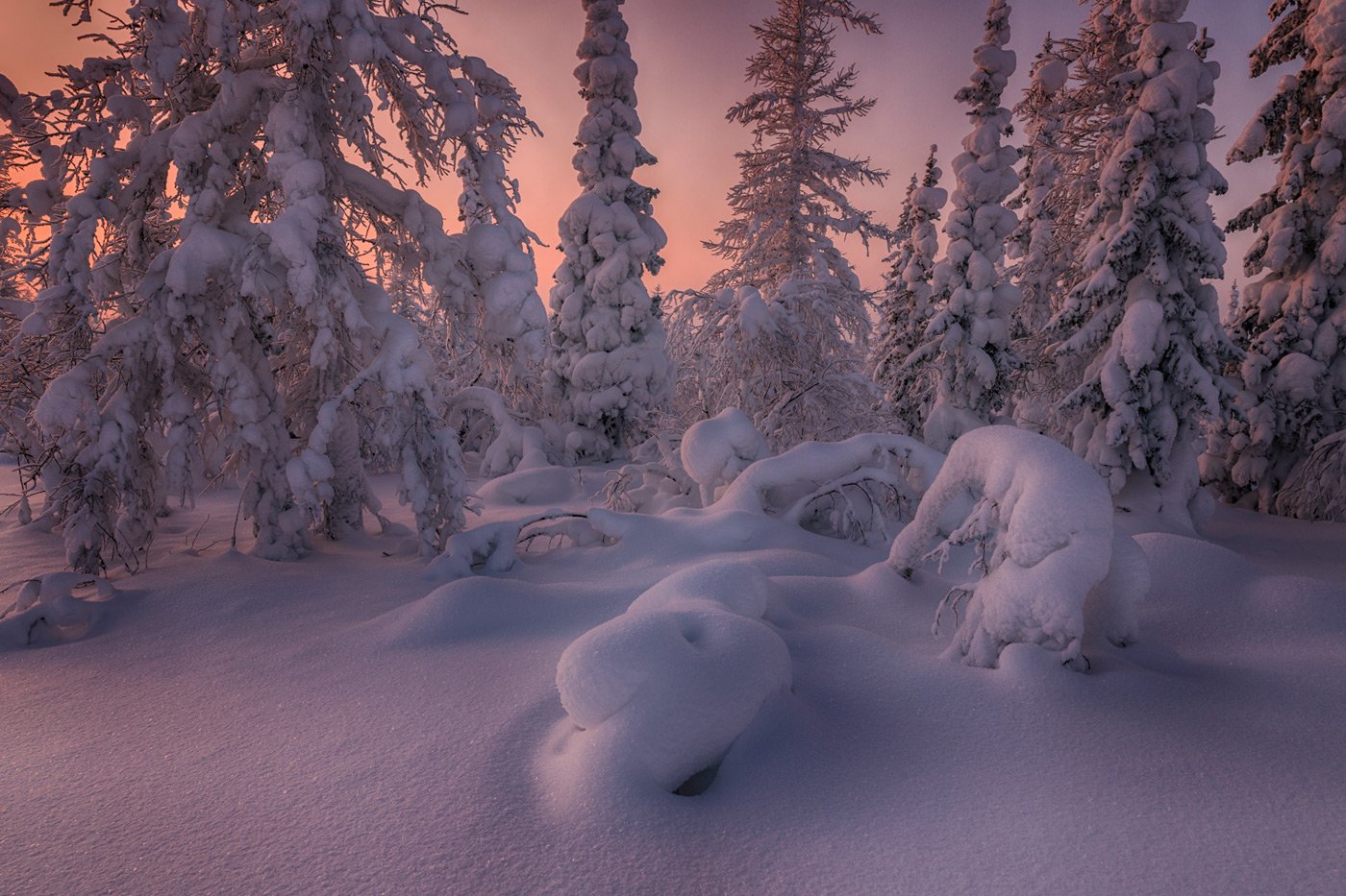 , Евгений Кужилев