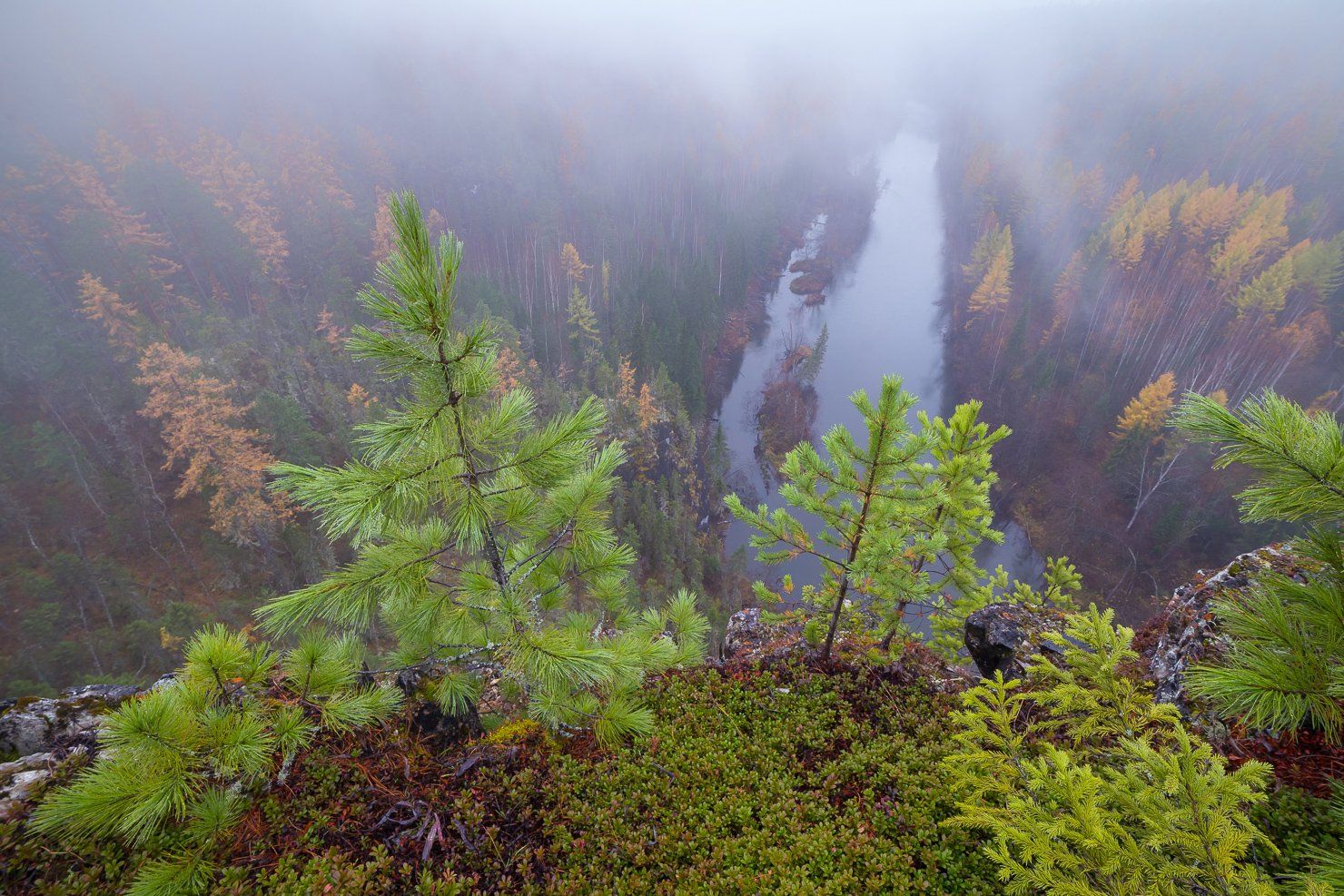 осень, урал, лес, Екатерина (PhotoJourneys.ru) Васягина