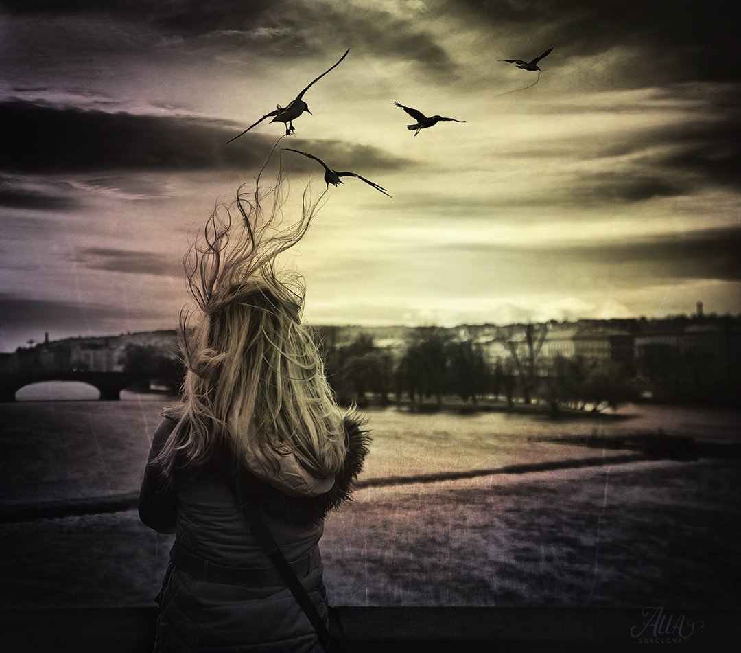 волосы, локоны, полёт, ветер, мост, чайки, птицы, облака, ALLA SOKOLOVA