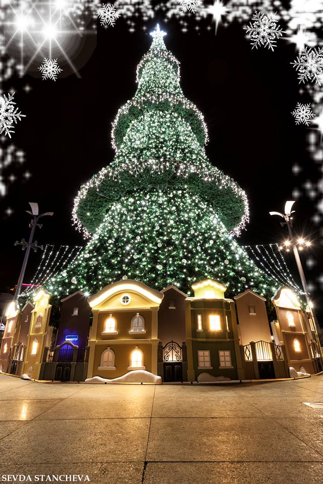 tree, christmas, christmastree, lights, city, street, Севда Станчева