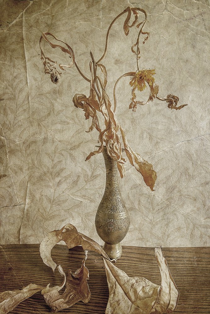 ваза, металлическая, индийская, листья, сухие, осенние, осень, Игорь Токарев