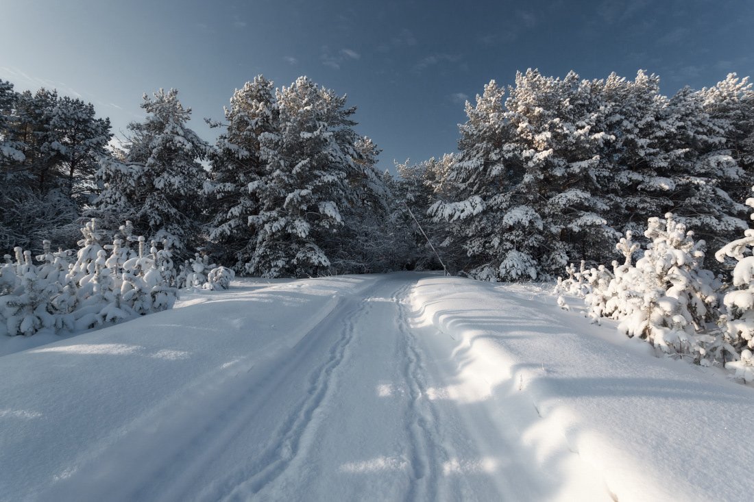 Лес сосны дорога снег сугробы шлагбаум зима мороз, Георгий Машковцев