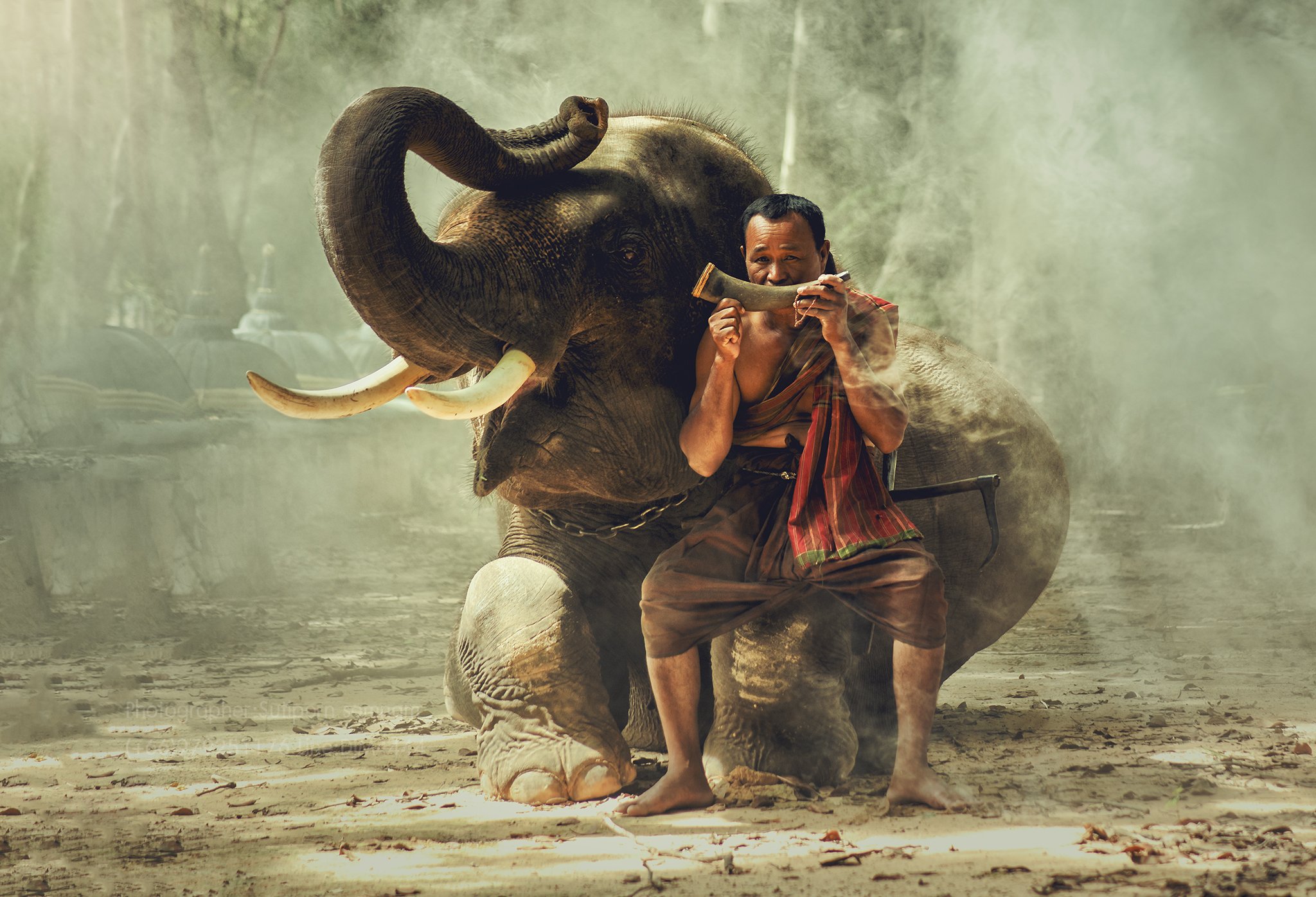 elephant,people,animal,thai,travel,, SUTIPORN SOMNAM