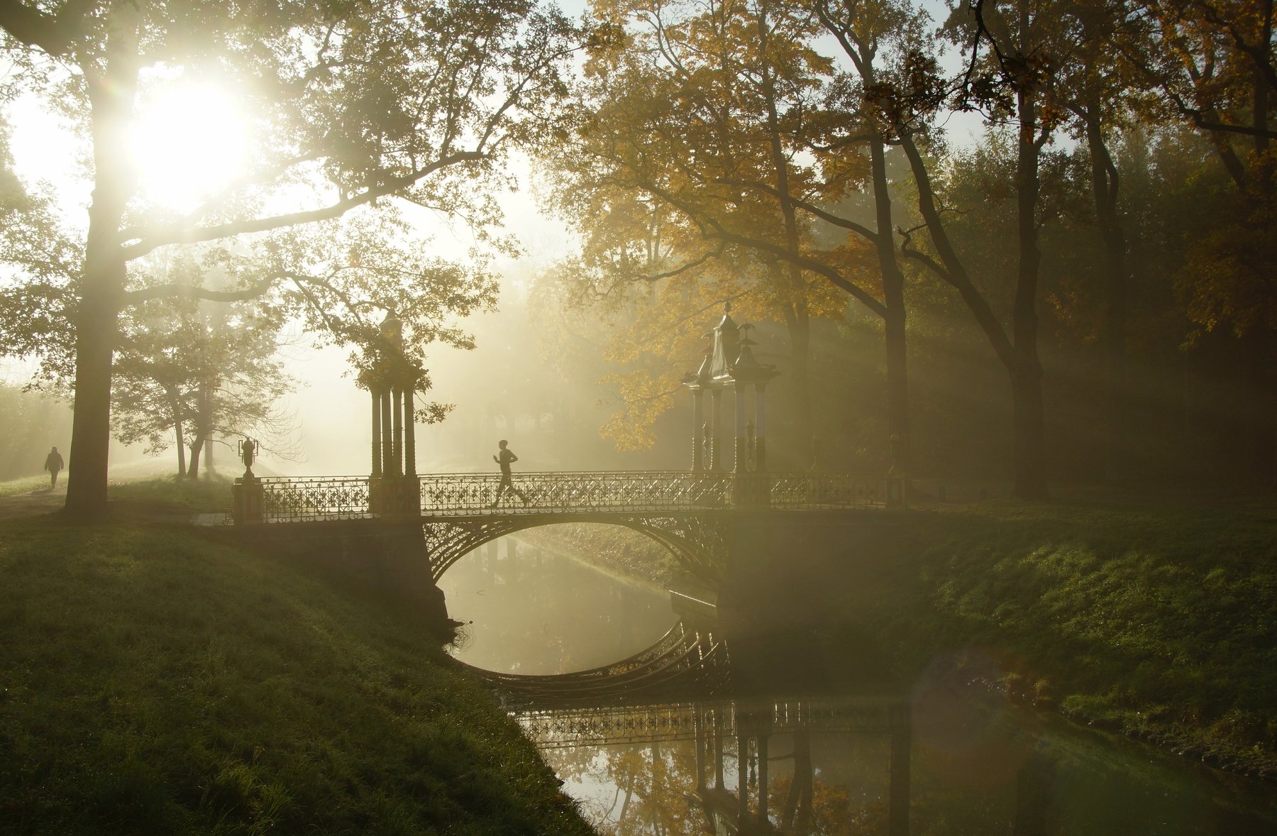 morning, autumn, fog, light, bridge, sun, Park, canal, Сергей Андреевич