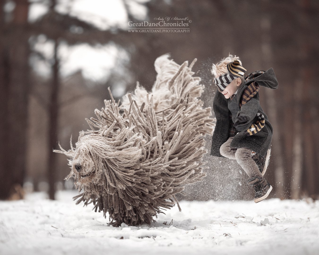 комондор, венгерская овчарка, собака, зима, полет, прыжки, Андрей Селиверстов