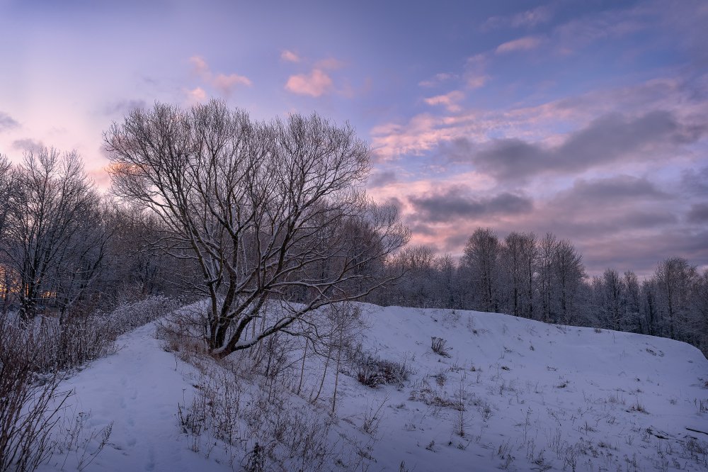 пейзаж,природа,закат,вечер,небо,облака,россия,деревья,зима,декабрь,снег, Юлия Лаптева
