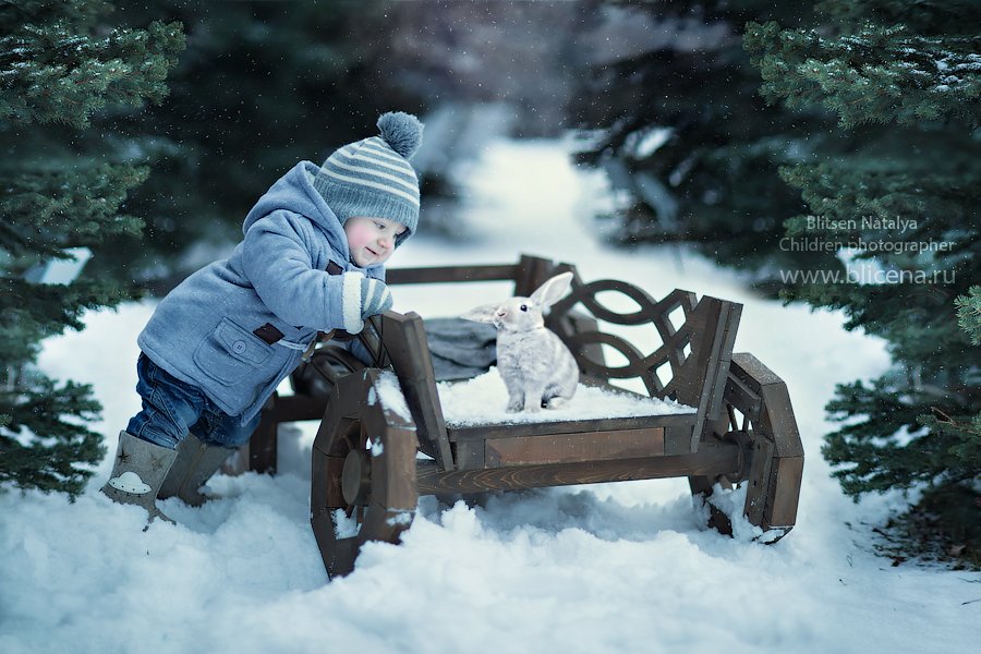 снег , зима, кролик, заяц, мороз, Россия, Наталья Блицен