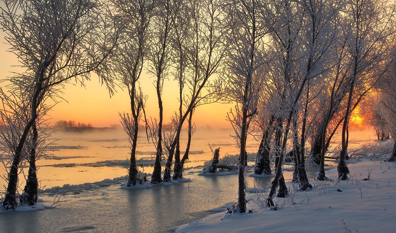 зимнее утро, рассвет, иней, деревья, река, мороз, winter morning, frost, river, morning sun, snow, Сергей Шляга
