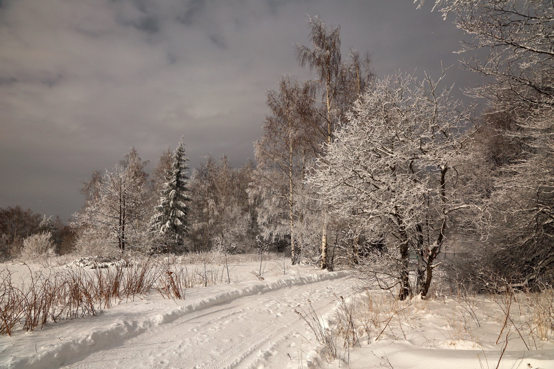 зима,, Александър Сандев