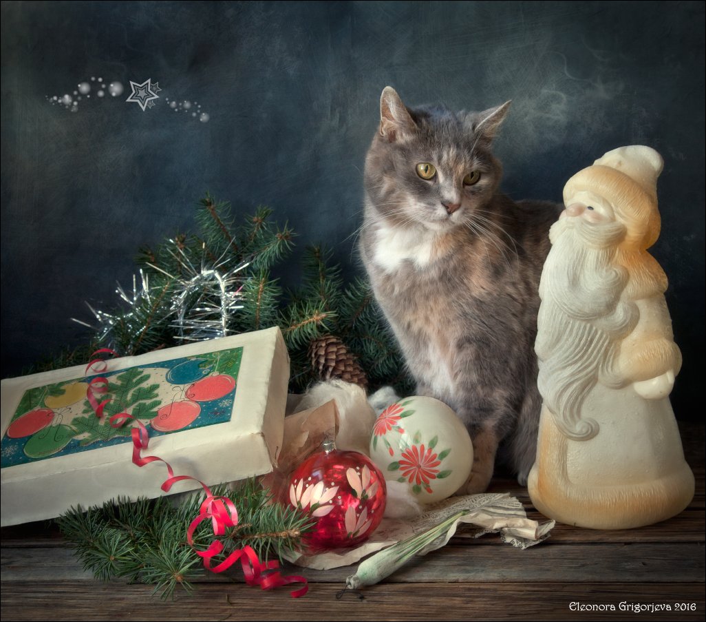 новый год, кошка, дед мороз, ёлочные игрушки, натюркотики, Eleonora Grigorjeva