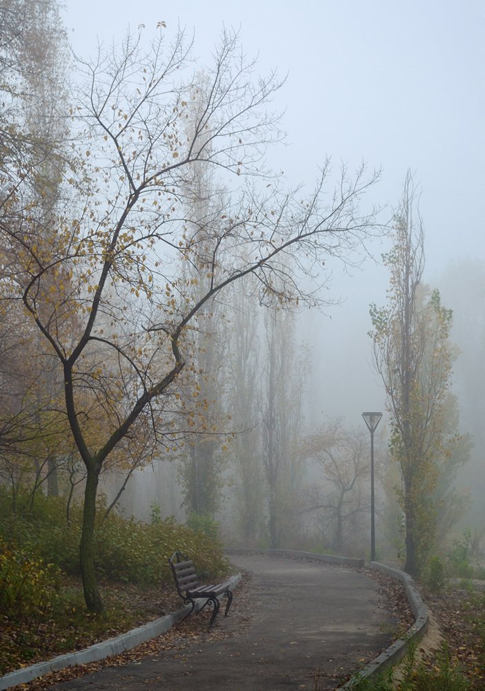 осень, парк, туман, Антон