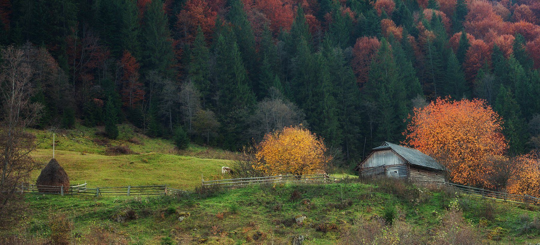 горы, лес, изба, осень, Вьюшкин Игорь