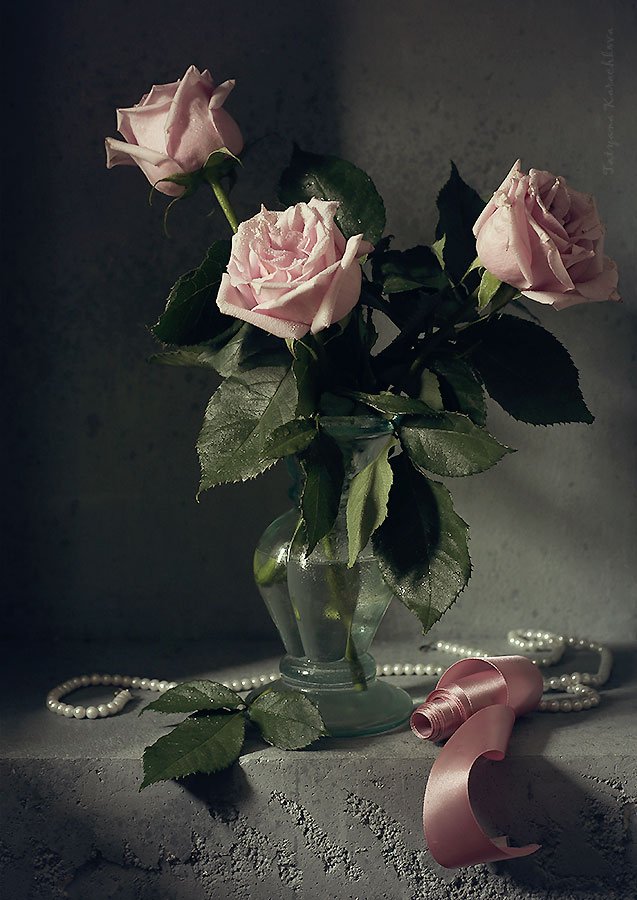 розы, цветы, лунный свет, Tatyana Karachkova