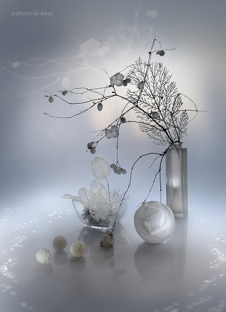 белый стекло ветки листья снежник, Шипунова Ирина