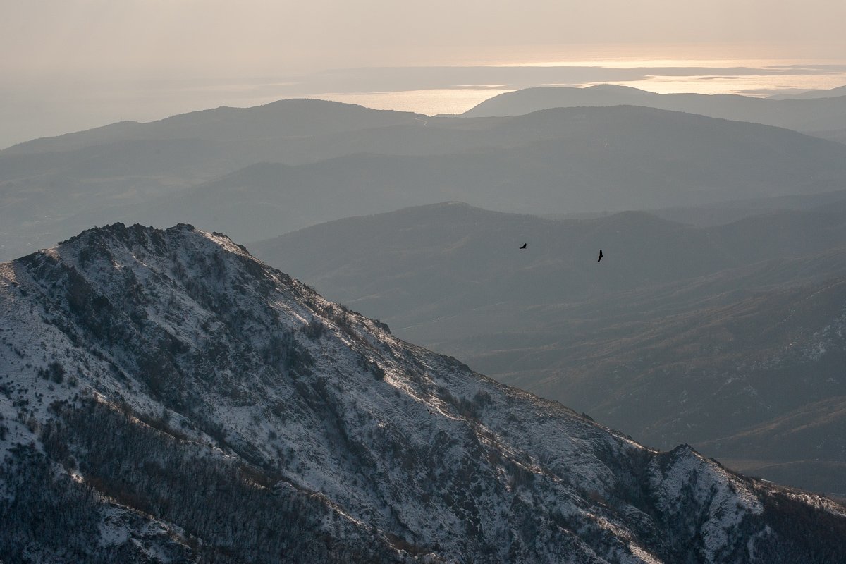 , Олег Логунов