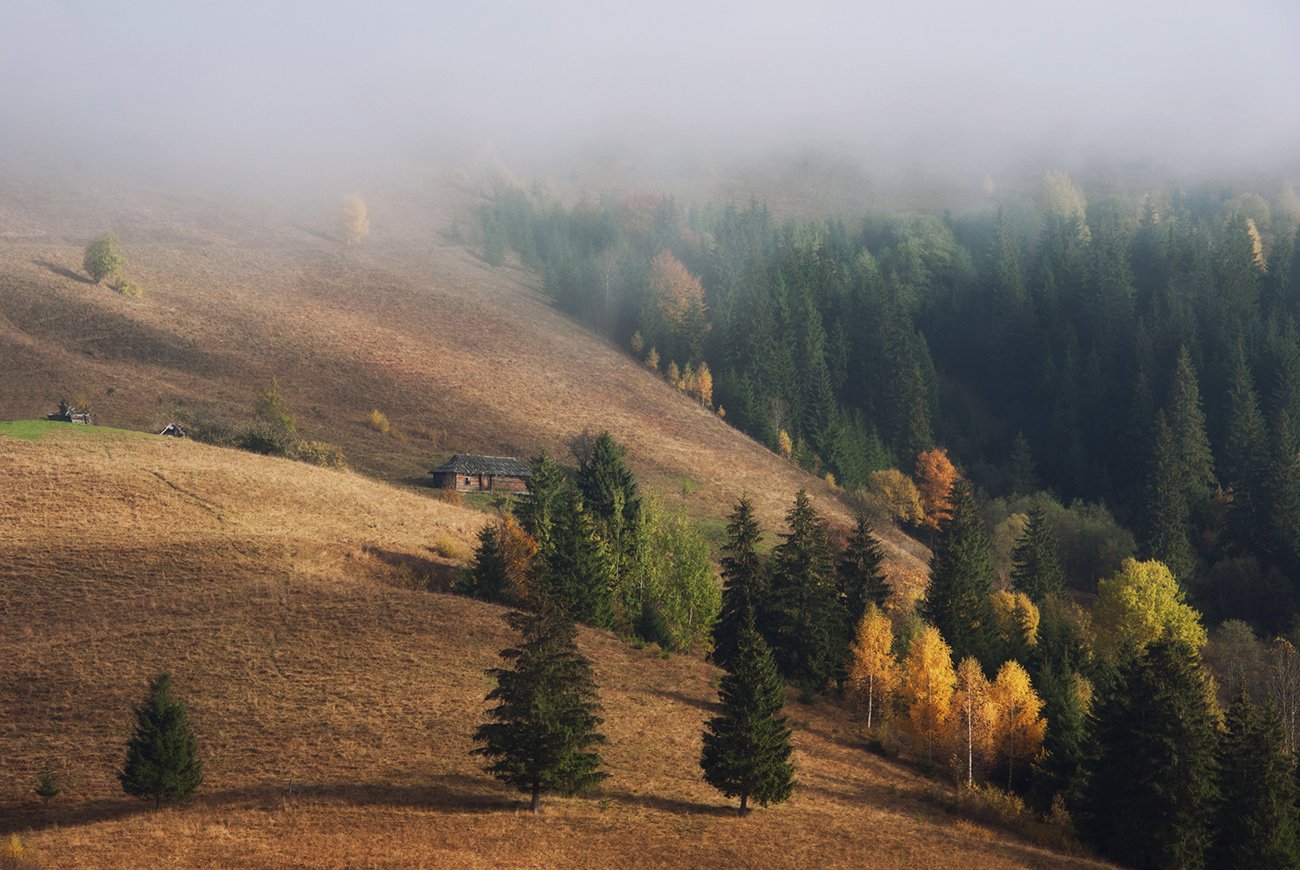 горы, осень,туман, дземброня, Вьюшкин Игорь