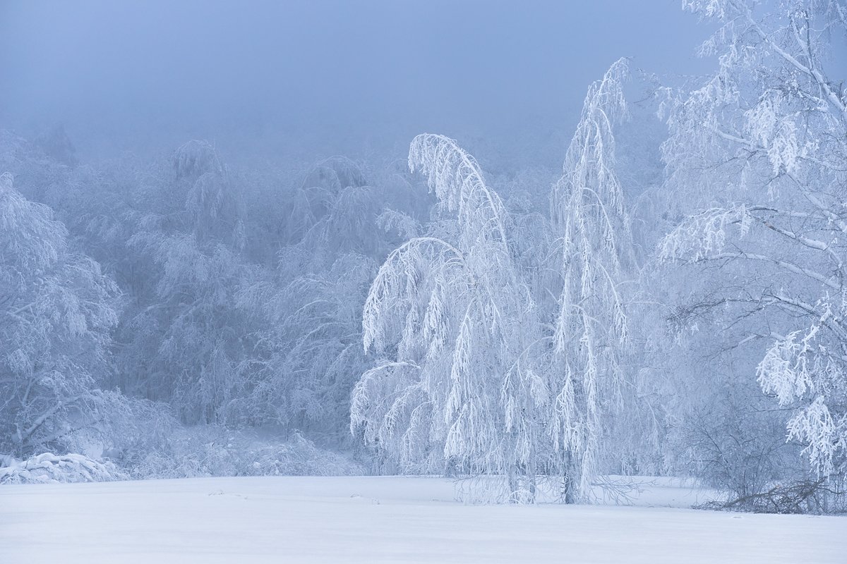, Михаил Туркеев