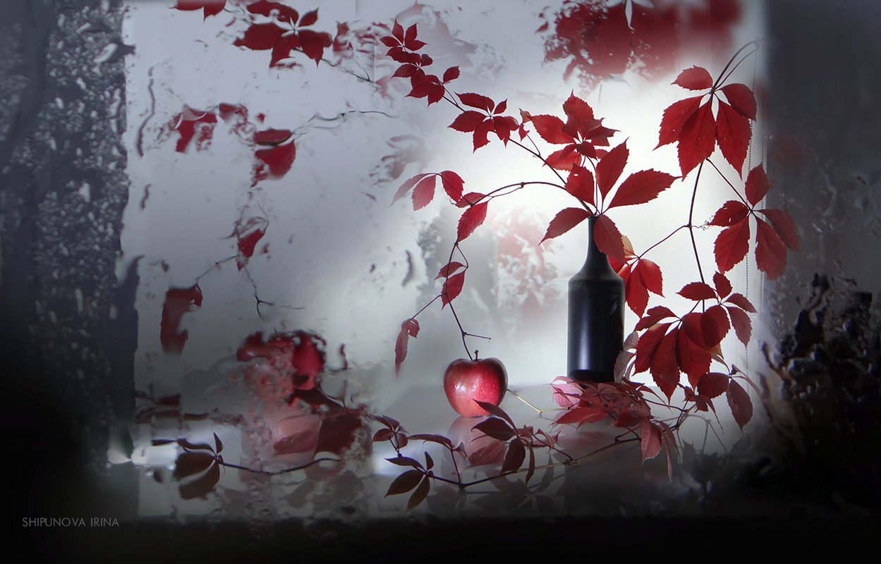 дикий девичий виноград бутыль яблоко отражение, Шипунова Ирина