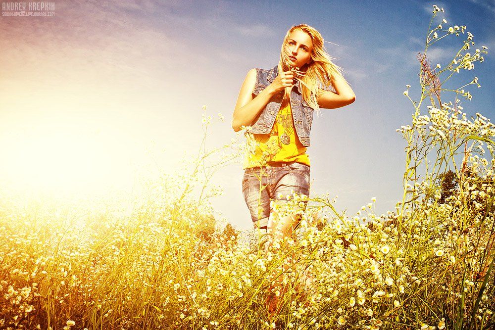 настя, девушка, поле, цветы, фотошоп, Андрей Крепких (Sound Wave)