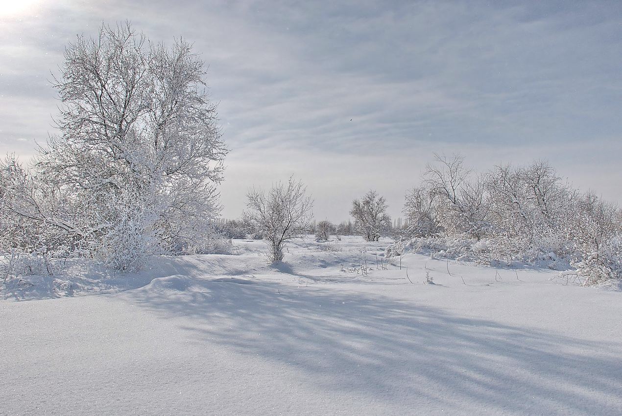 зима, пейзаж, Геннадий Меремьянин