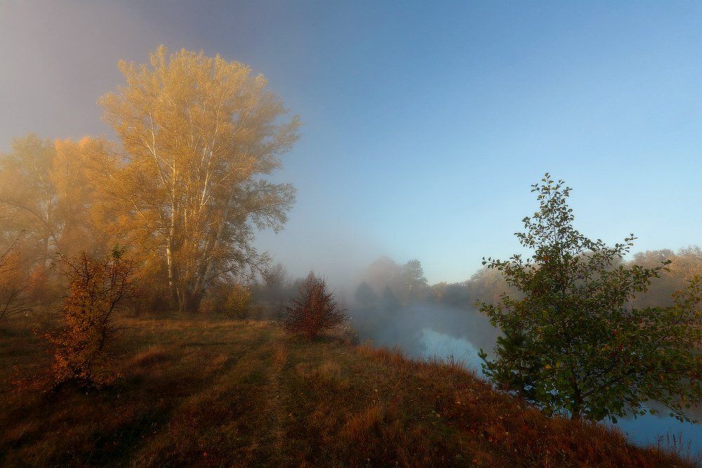 осень, утро, река, туман, Петриченко Валерий