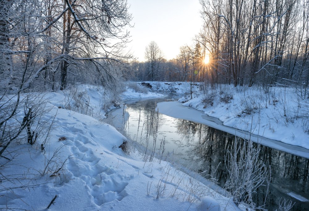 пейзаж,природа,снег,утро,рассвет,лес,деревья,солнце,зима,река,иней, Юлия Лаптева
