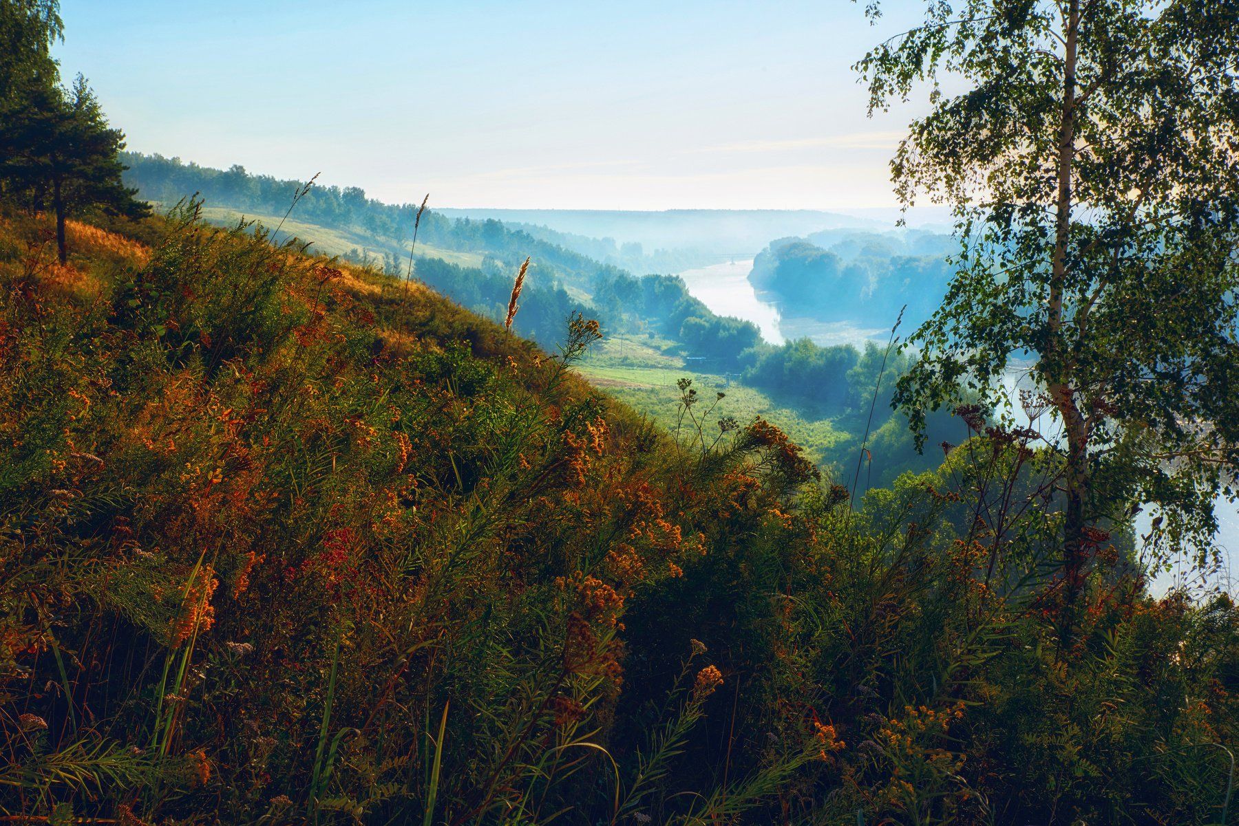 река, туман, утро, лес, трава, деревья, пейзаж, природа, Георгий Муравьёв