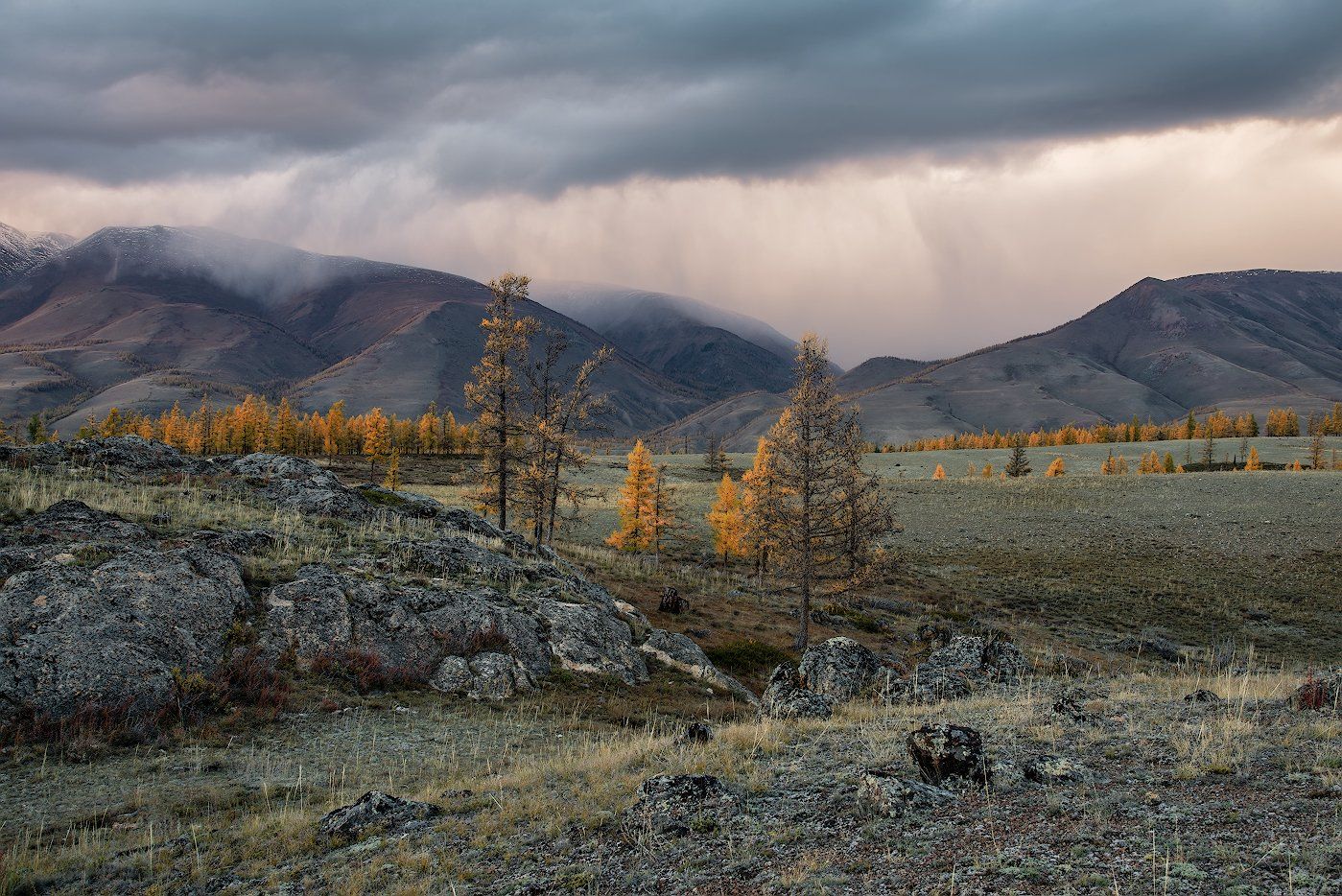 пейзаж, алтай, горы, облака, дерево, скалы, Dmitriy  Baginskiy